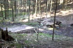 Must Watch Video