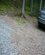 karnaisten pitkospuut