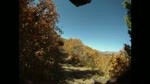 FAll Colors in Horse Gulch