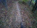 Mohican top of trail 3