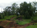dirt jumps