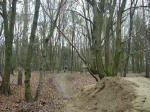Me at Secret Spot.little Whip on Step Up