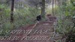 PISTA  SERPIENTE LOCA