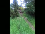 Must Watch Video