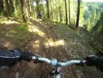 coed y brenin