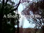 Must Watch Video