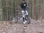 Swinley Forest