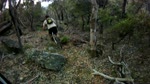 An All Mountain track in the North of Sydney