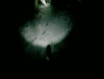 light test