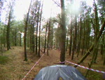 Trees don't move