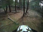 Lower Coyote Trail