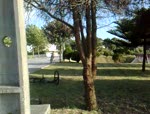 Must Watch Video