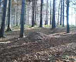 Podraj