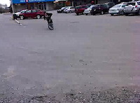 Must Watch Video