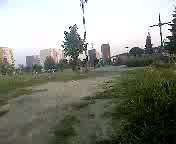 Must Watch Video