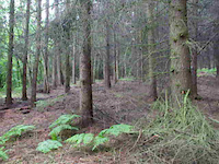 Ambergate