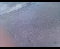Must Watch Video