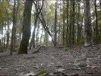 Must Watch Video