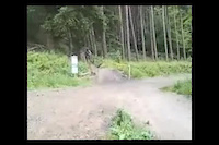 Must Watch Video
