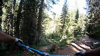 Chatel shore run