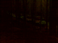 Must Watch Video