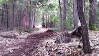 Must Watch Video