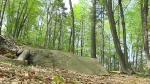 Jump Rock