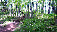 Freeride on the Benson Grade