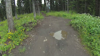 Must Watch Video