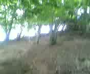 Must Watch Video