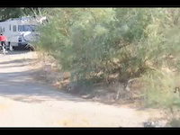 Must Watch Video