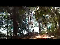Must Watch Video