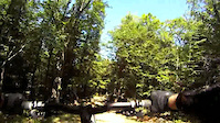 Must Watch Video