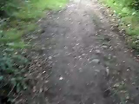 Must Watch Video