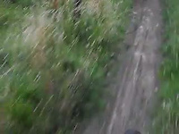 Must Watch Video