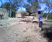 Must Watch Video