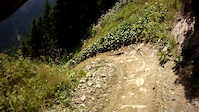 Must Watch Video