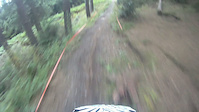 Specialized Demo 8 in Hamsterley Forest