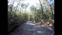 Potter Mtn. Single Track with Masshole