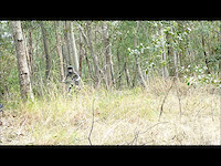 Must Watch Video