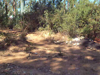 Salto da junta de Nogueira