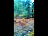 Must Watch Video