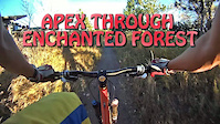 Enchanted Forest to Apex (chestie)