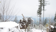 Must Watch Video