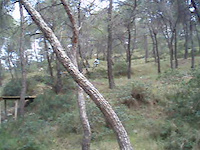Must Watch Video