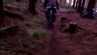 SILTON DH