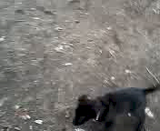 Must Watch Video