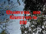 Must Watch Video