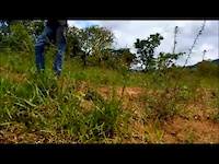 Must Watch Video