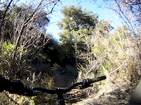 Mid-Section of W. Horsethief